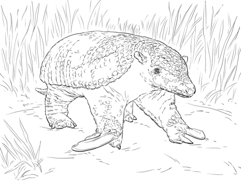 Realistic Giant Armadillo Coloring Page